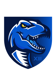 Logo MONTPELLIER RAPTORS XIII